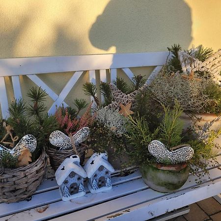 Ferienwohnung Ott Amelinghausen Bagian luar foto