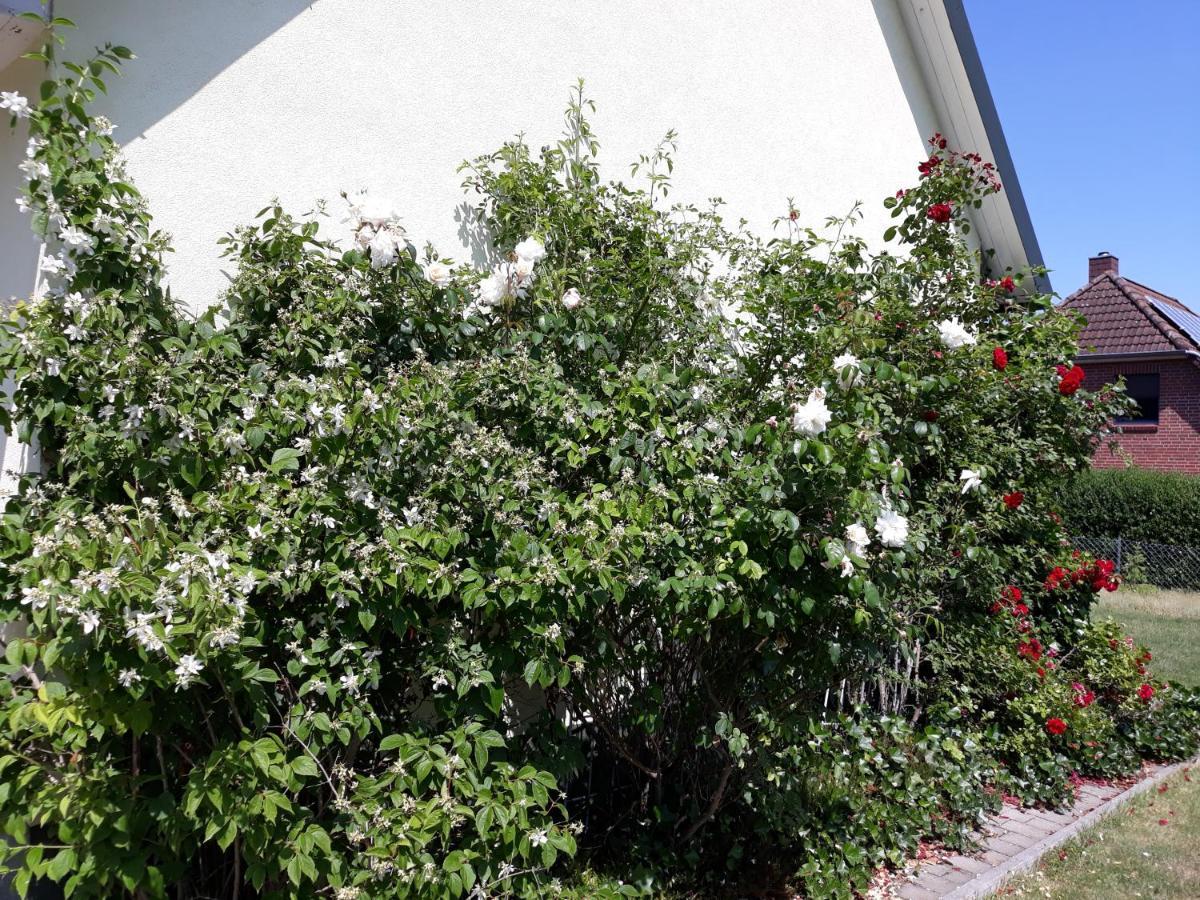Ferienwohnung Ott Amelinghausen Bagian luar foto
